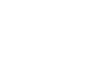 Vig