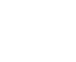 Vig